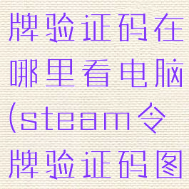 steam令牌验证码在哪里看电脑(steam令牌验证码图片看不懂)