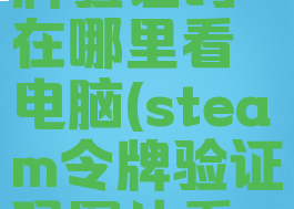 steam令牌验证码在哪里看电脑(steam令牌验证码图片看不懂)