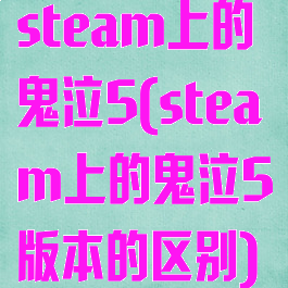steam上的鬼泣5(steam上的鬼泣5版本的区别)