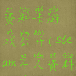 steam个人资料卡游戏公开(steam个人资料全部公开)