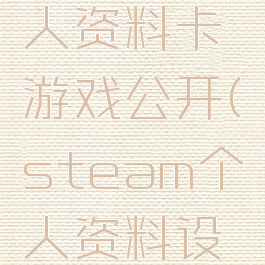 steam个人资料卡游戏公开(steam个人资料设置公开)