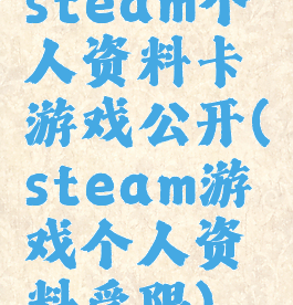 steam个人资料卡游戏公开(steam游戏个人资料受限)