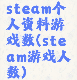 steam个人资料游戏数(steam游戏人数)