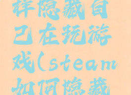 steam怎样隐藏自己在玩游戏(steam如何隐藏自己游戏)