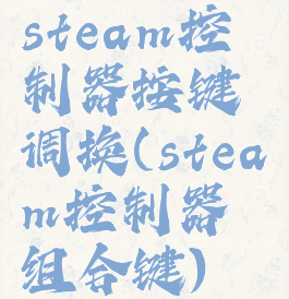 steam控制器按键调换(steam控制器组合键)