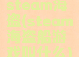 steam海盗(steam海盗船游戏叫什么)