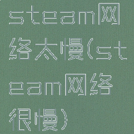 steam网络太慢(steam网络很慢)