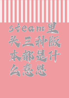 steam里头三种版本都是什么意思