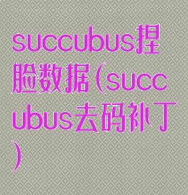 succubus捏脸数据(succubus去码补丁)