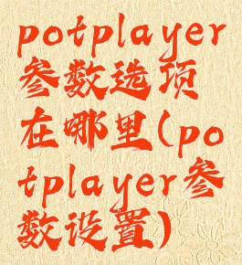 potplayer参数选项在哪里(potplayer参数设置)