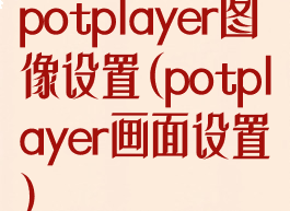potplayer图像设置(potplayer画面设置)