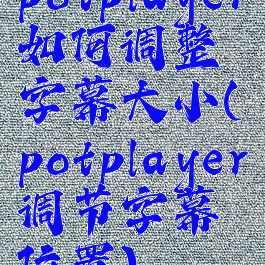 potplayer如何调整字幕大小(potplayer调节字幕位置)