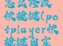 potplayer怎么修改快捷键(potplayer快捷键自定义)