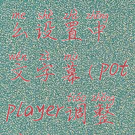 potplayer怎么设置中文字幕(potplayer调整字幕)