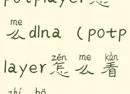 potplayer怎么dlna(potplayer怎么看直播)