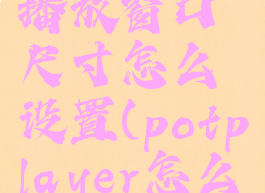 potplayer播放窗口尺寸怎么设置(potplayer怎么放大画面)
