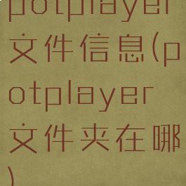 potplayer文件信息(potplayer文件夹在哪)