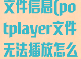 potplayer文件信息(potplayer文件无法播放怎么办)