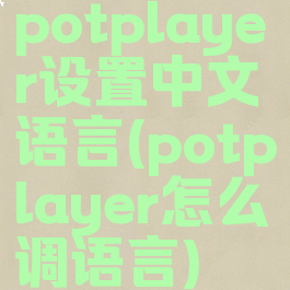 potplayer设置中文语言(potplayer怎么调语言)