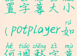 potplayer设置字幕大小(potplayer如何调整字幕大小)