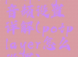 potplayer音频设置详解(potplayer怎么设置)