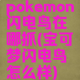 pokemon闪电鸟在哪抓(宝可梦闪电鸟怎么样)