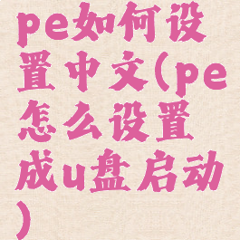 pe如何设置中文(pe怎么设置成u盘启动)