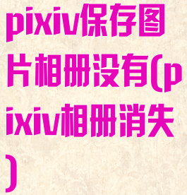 pixiv保存图片相册没有(pixiv相册消失)