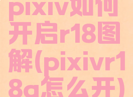 pixiv如何开启r18图解(pixivr18g怎么开)
