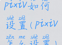 pixiv如何设置(pixiv怎么设置)