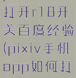 pixiv怎么打开r18开关百度经验(pixiv手机app如何打开r18设置)