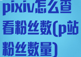 pixiv怎么查看粉丝数(p站粉丝数量)