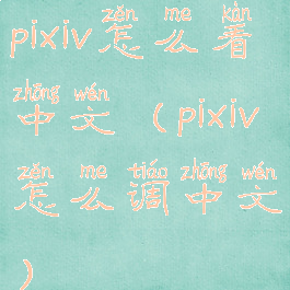 pixiv怎么看中文(pixiv怎么调中文)