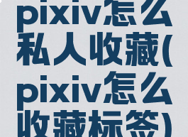 pixiv怎么私人收藏(pixiv怎么收藏标签)