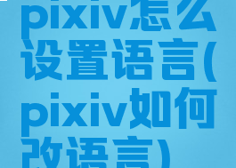 pixiv怎么设置语言(pixiv如何改语言)