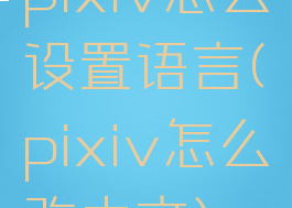 pixiv怎么设置语言(pixiv怎么改中文)