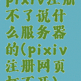 pixiv注册不了说什么服务器的(pixiv注册网页打不开)