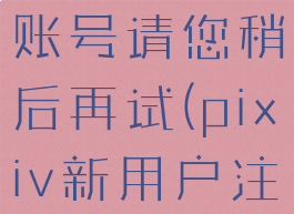 pixiv注册账号请您稍后再试(pixiv新用户注册不了)