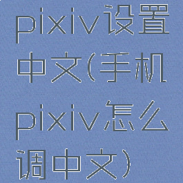 pixiv设置中文(手机pixiv怎么调中文)