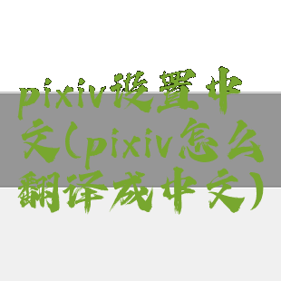 pixiv设置中文(pixiv怎么翻译成中文)