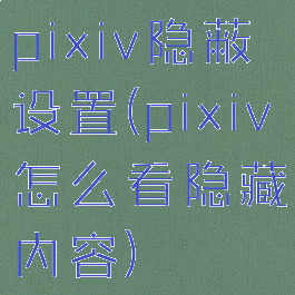 pixiv隐蔽设置(pixiv怎么看隐藏内容)
