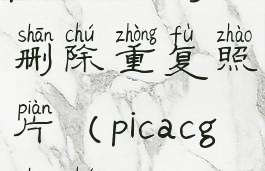 picasa如何删除重复照片(picacg删除)
