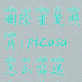 picasa如何删除重复照片(picasa怎么筛选重复照片)