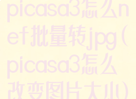 picasa3怎么nef批量转jpg(picasa3怎么改变图片大小)