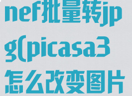 picasa3怎么nef批量转jpg(picasa3怎么改变图片大小)