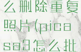 picasa3怎么删除重复照片(picasa3怎么批量转格式)