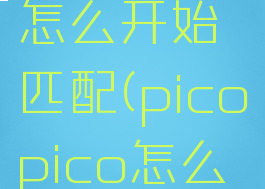 picopico怎么开始匹配(picopico怎么加人)