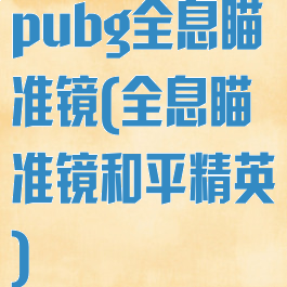 pubg全息瞄准镜(全息瞄准镜和平精英)