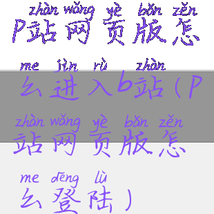 p站网页版怎么进入b站(p站网页版怎么登陆)