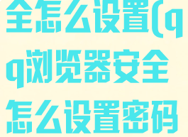 qq浏览器安全怎么设置(qq浏览器安全怎么设置密码保护)